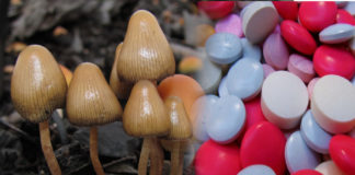Magic mushrooms antidepressants