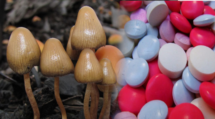 Magic mushrooms antidepressants