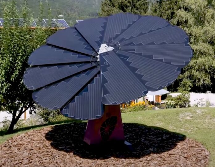Why are solar trees better than solar panels? - Leakshare