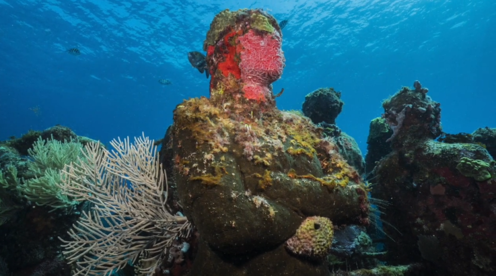 These Artificial Coral Modules Can Help Restore Dying Reefs - Leakshare